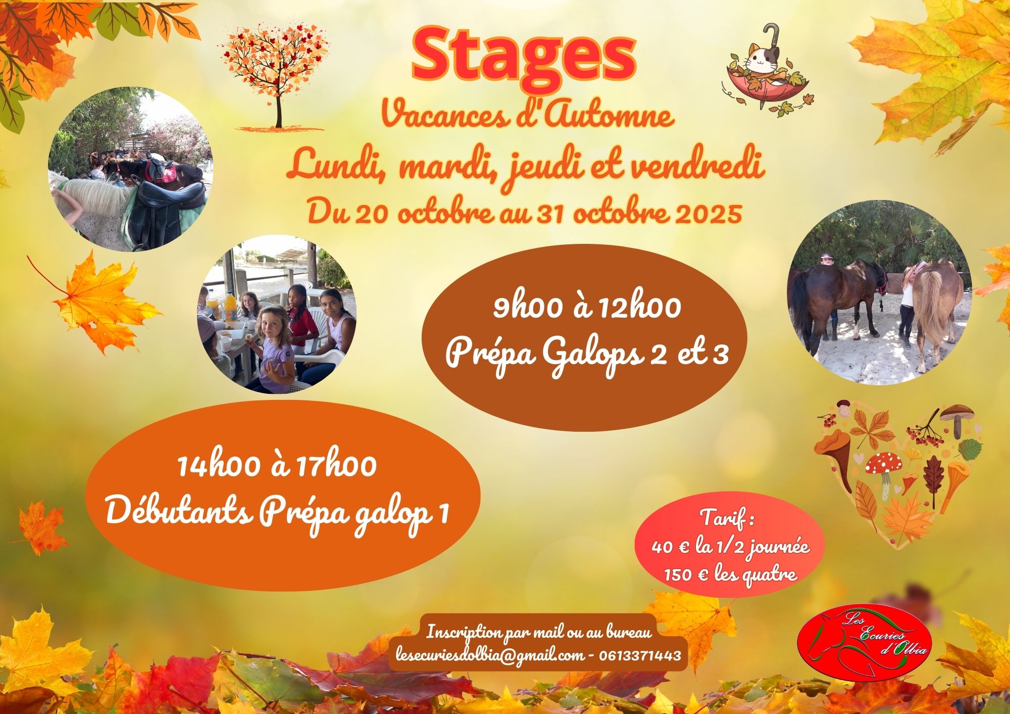 stages vacances